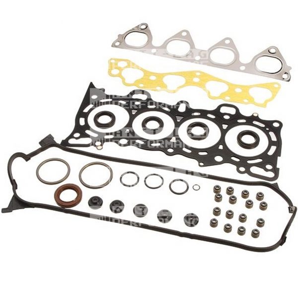 Ashuki koppakkingset