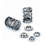 Supertech klepveren + titanium klepschotels + klepzittingen 80@ 40.4mm