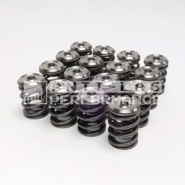 Skunk2 klepveren + titanium klepschotels Alpha Series