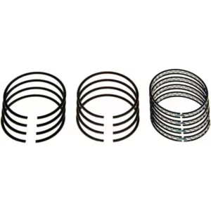 Hastings Zuigerveren set STD (75.00mm) D-serie